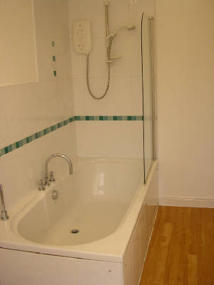 newbathroom1forweb.jpg