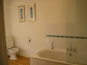 newbathroom2forweb.jpg